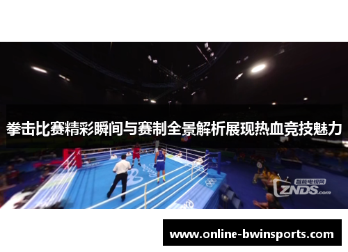 拳击比赛精彩瞬间与赛制全景解析展现热血竞技魅力