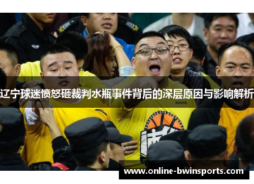 辽宁球迷愤怒砸裁判水瓶事件背后的深层原因与影响解析