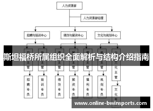 斯坦福桥所属组织全面解析与结构介绍指南