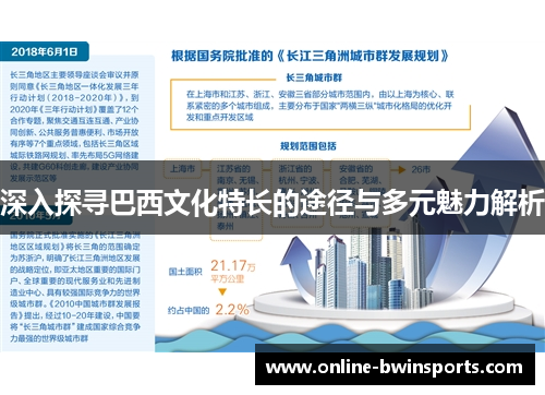 深入探寻巴西文化特长的途径与多元魅力解析